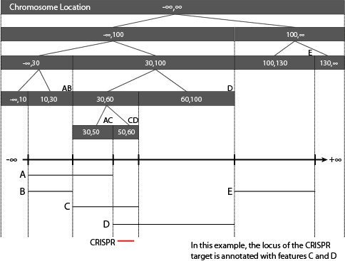 Binary Tree